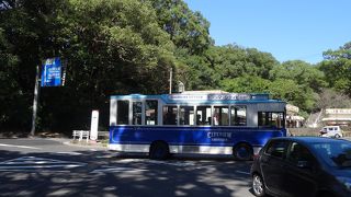 市内主要観光地はこのバスで制覇