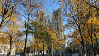 サン ミッシェル大聖堂前の公園