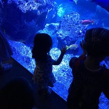 食いついています。