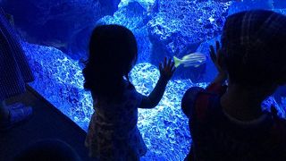 室内なのに凄い！