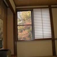 宿の窓には紅葉が見事に