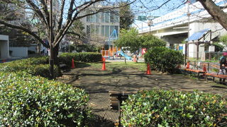 古川の水紋が見えます