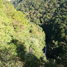 ズームしなければこうとしか