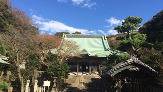 本堂の屋根が大きい