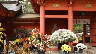 佐原旧市街訪問と合わせて訪れたい