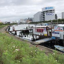 立会川と鮫洲の間に広がる勝島運河のお花畑 By どーもくん しながわ花海道のクチコミ フォートラベル 立会川と鮫洲の間に広がる勝島運河のお花畑 By どーもくん しながわ花海道のクチコミ フォートラベル