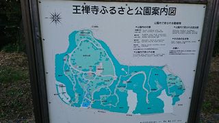 広い広い公園