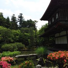 銀閣寺①