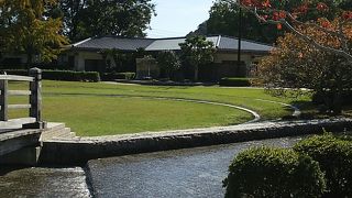 紅葉の時期以外も綺麗