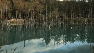 サクッと回れました