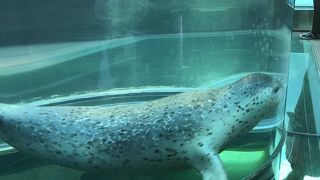 来てよかった！！