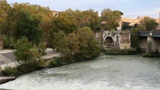 ティベリーナ島に降りて、テベレ川の河岸を歩いてみました。