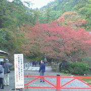 坂本駅近く、紅葉も見ごたえがある総本宮です