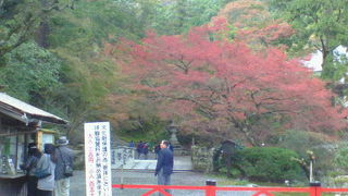 坂本駅近く、紅葉も見ごたえがある総本宮です