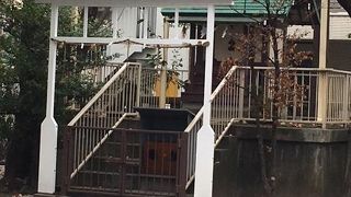 小さな小さな祠