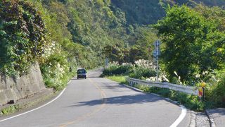 無料ですが。。。