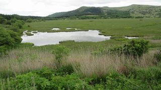 ビーナスライン沿道にある湿原