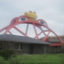 しかし、印南町ではカエルさん！！！！！