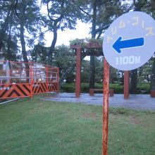 こんなジョギング（？）コースも整備されていました