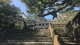 あまり印象に残らなかった。。。