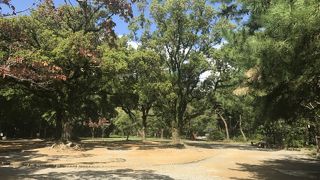 高知城をめがけて