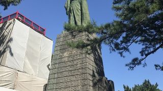 高くて逆光で良く見えなかった