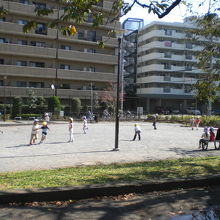 赤羽公園の中の広場で、思い切り、元気に走り回る子供たちです。