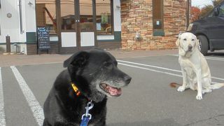 美味しいパン屋