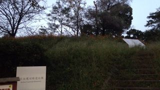 運河沿いの長い緑道