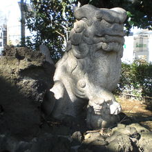 八雲神社の本社の前の両側には、一対の獅子が置かれています。