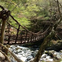 かずら橋