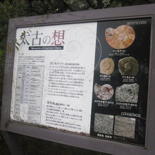 こういう解説板もひっそりと設置されていました