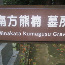 墓の手前までは立派な道標が備わっていますが、最後が解り辛い
