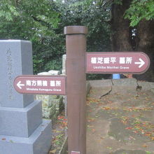 ここから先、南方は左、植芝は右へと導かれます