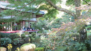 風情があって良かったです。