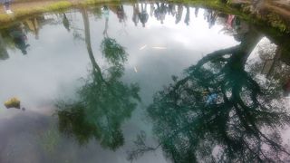 外国観光客の多さにびっくりしました。