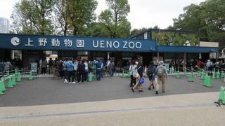 パンダ舎は50分待ちでした