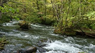 マイナスイオンの中を歩くと気持ちいい