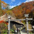 みんなで入れば怖くない「鶴の湯」の混浴露天風呂と紅葉　2018/10/25（木）