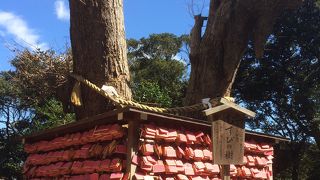 江の島の中に点在