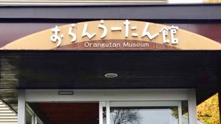 おらんうーたん