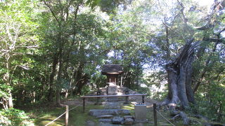 思いの外、小さなお堂です。