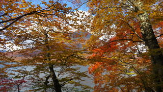 景色が良いです