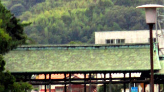 刀の鞘の様にきれいに反っています。