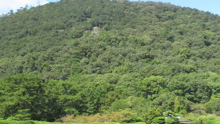 栗林公園にはなくてはならない。