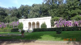 美しい公園です！