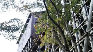 御朱印は夕方が狙い目