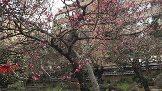 学問の神様 梅まつり