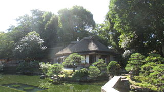 一服するのにぴったりです。