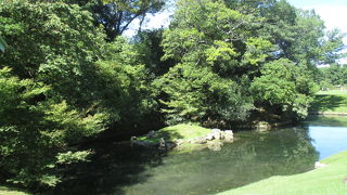 水が澱んでいました。